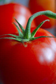 Rote Tomate