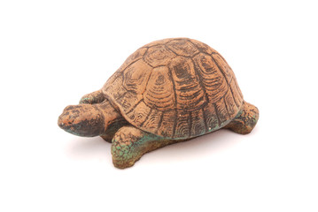 Tortoise