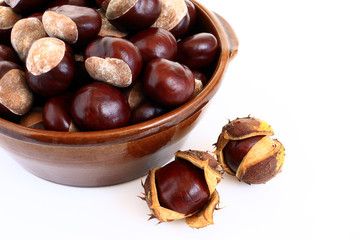 Plat de Marrons