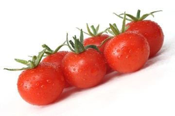 Tomaten