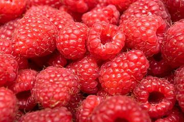 Ripe red raspberries