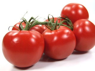 Tomato