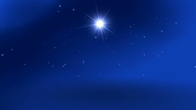 Weihnachtsbaum
