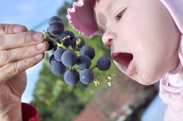 b&eacute;b&eacute; et raisin