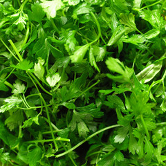 Parsley