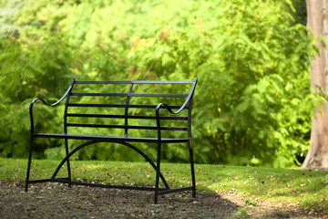 black iron bench on green park