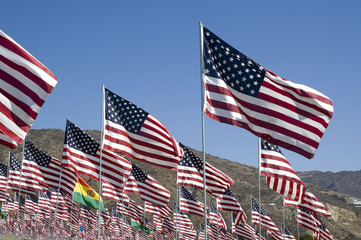 Rows of Flags