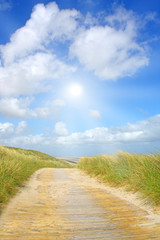 Idyliische Sommerlandschaft an der Nordsee