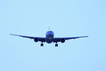 飛行機