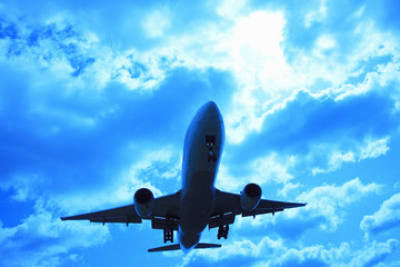 飛行機