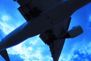飛行機