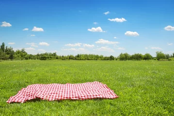 Foto op Plexiglas picknickdoek op weide © Li Ding