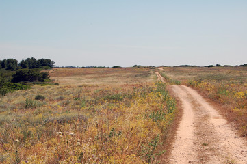 campagna
