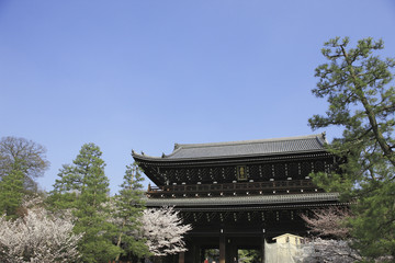 知恩院