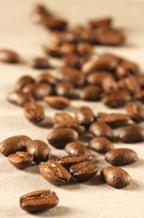Coffee beans