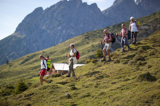 hiking group on mountain pasture