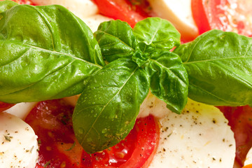 Mozarella & Tomate