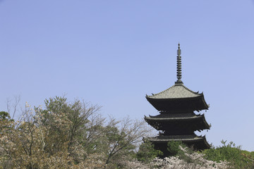 二和寺の五重塔