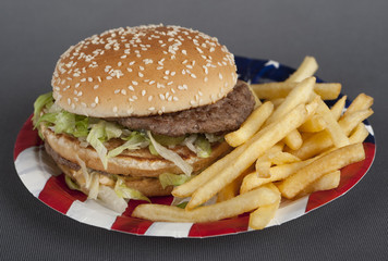 Hamburger auf Pappteller Amerika