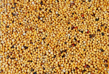 Mustard seeds