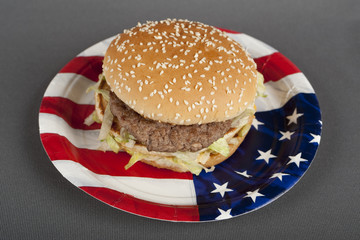 Hamburger auf Pappteller Amerika