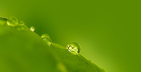 gotas de agua