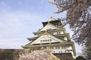 Naklejka premium 大阪城の桜