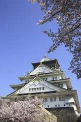 Fototapeta premium 大阪城の桜
