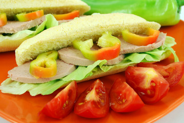 sandwich with salad close detail