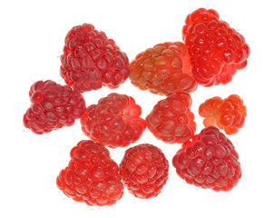 group of red ripe raspberries