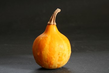 Kürbis klein zur dekoration