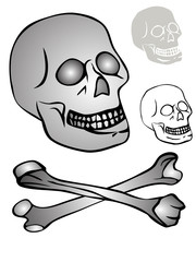 various skull