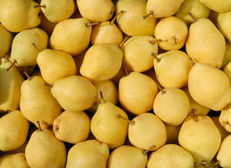 pears