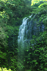 Naklejka premium 赤目四十八滝渓谷