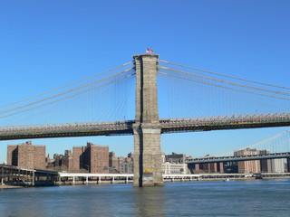 Fototapeta premium New York