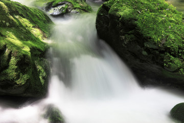 Fototapeta premium 赤目四十八滝渓谷