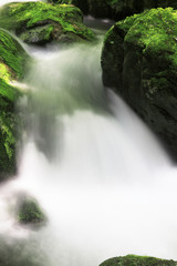 Obraz premium 赤目四十八滝渓谷