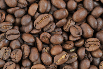 coffee beans close up