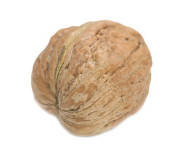 walnut