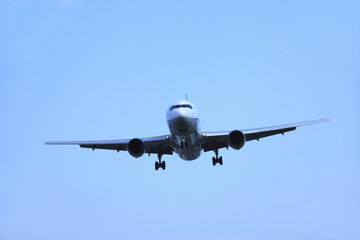 飛行機