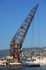 Fototapeta na wymiar Trieste, mare e dintorni (26)