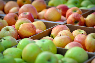 box apples