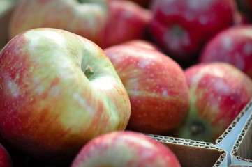 box apples