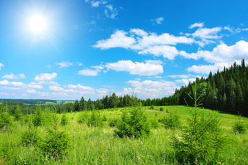 Obraz premium Nature