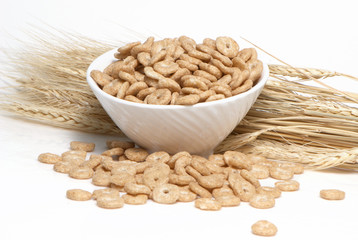Cereal and Wheat ears on a white background