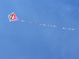 Drachenflug