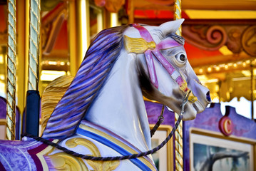 carousel © Imagevixen