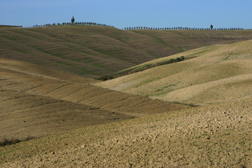 Obraz premium Val d'Orcia