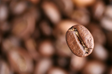 Fototapeta premium Close up view of the coffee grain
