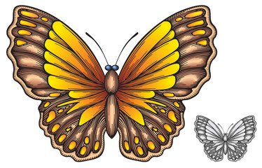 Yellow butterfly vector